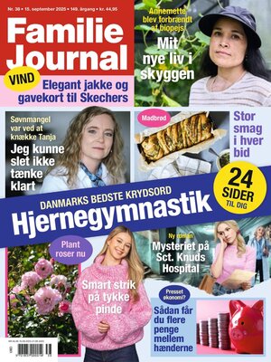 cover image of Familie Journal